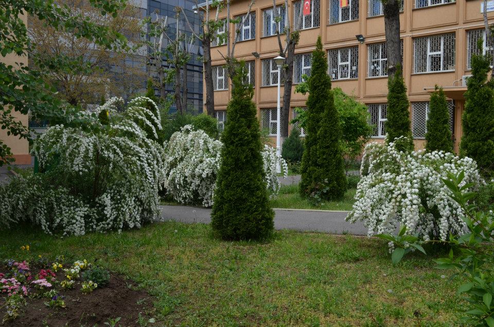 Școala Gimnazială Sfinții Voievozi - curte